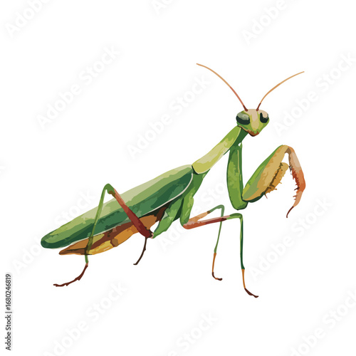 Vibrant Green Praying Mantis Watercolor Illustration