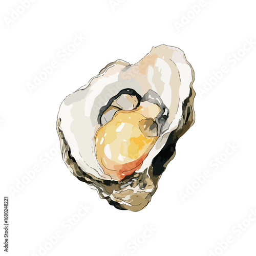 Vivid Oyster Shell Watercolor Illustration with Pearl
