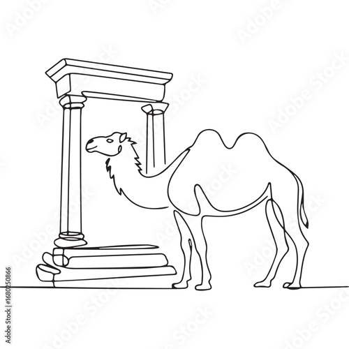 Continuous line of walking standing camel .Single one line art of wild camel, One continuous line illustration of an camel isolated on white background.