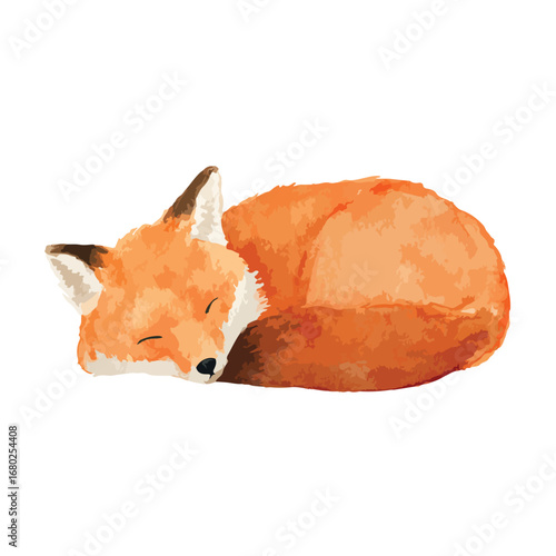 Watercolor Fox Curled Up Asleep with Closed Eyes and Orange Fur