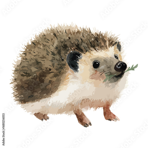 Watercolor Hedgehog with Greenery in Mouth Adorable and Curious Pose