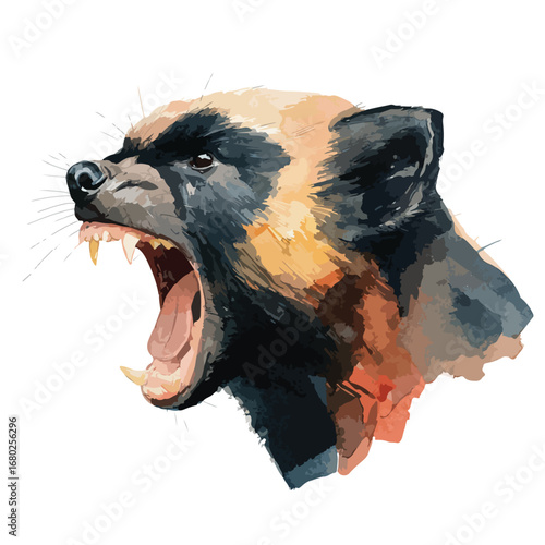 Watercolor Honey Badger Head with Open Mouth and Visible Teeth