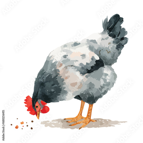 Watercolor Hen Pecking at Scattered Grain