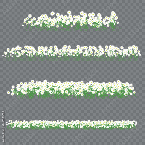 Seamless daisy border with transparent background. Elegant white flowers design for textiles, packaging, wallpapers, web, invitations, and decorative projects.