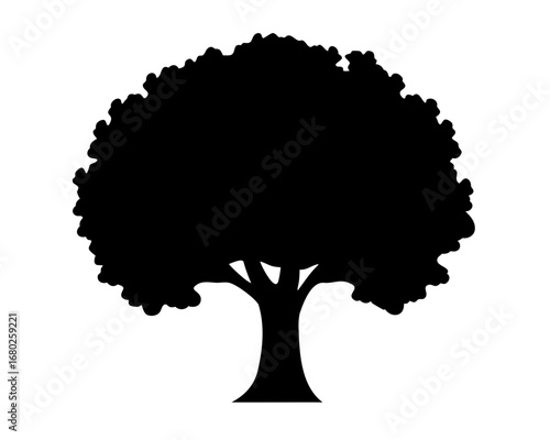 Solitary Silhouette A Stark Black Tree Against a White Backdrop Beautiful