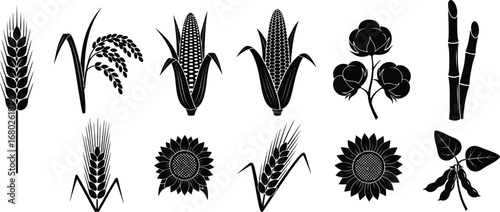 Agricultural Crops and Plants Icons