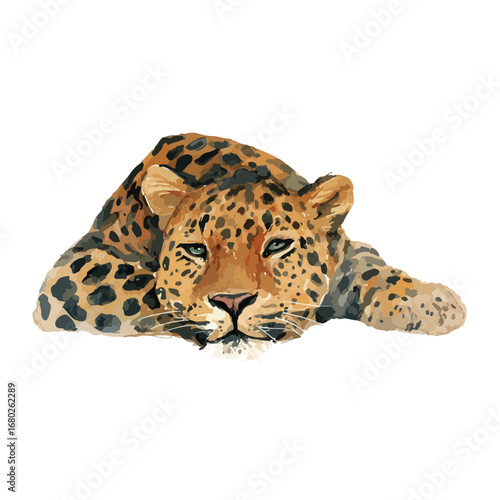 Watercolor Leopard Resting Detailed Portrait with Calm Expression and Spots