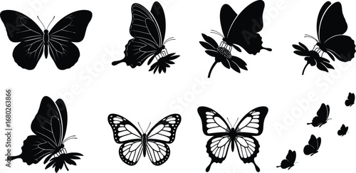 Butterfly Silhouettes and Designs