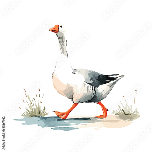 Watercolor style goose with orange legs walking near sparse grass