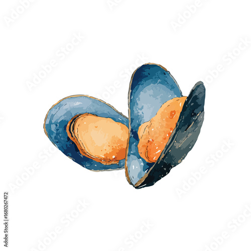 Watercolor Style Illustration of Two Open Blue Mussels with Orange Meats