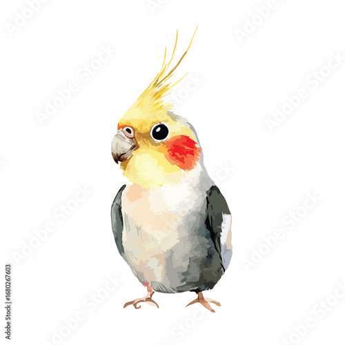 Watercolor Style Nymph Cockatiel Portrait Yellow Crest Red Cheek Patches