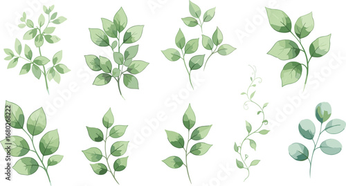 Watercolor floral elements set - green leaves and branches
