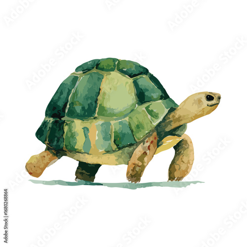 Watercolor Tortoise Walking with Detailed Green and Yellow Shell