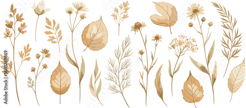 Seamless watercolor floral pattern - autumn fall dried dull flower elements, leaves branches on black dark background. Prints wallpapers postcards greetings cards wedding invites