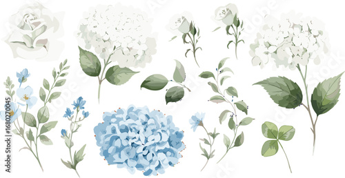 Watercolour floral illustration set. Blue white flowers green leaves individual elements collection. Hydrangea, myosotis, rose, peony, eucalyptus.