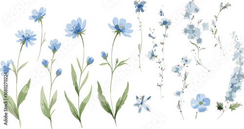Watercolour floral illustration set. Blue white flowers green leaves individual elements collection. Hydrangea, myosotis, rose, peony, eucalyptus