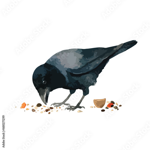 A Detailed Illustration of a Crow Feeding on Scattered Seeds and Grains