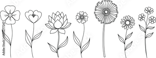 Minimal hand-drawn flower line art set with daisy lotus dandelion wildflower botanical illustrations for tattoo boho and decorative designs