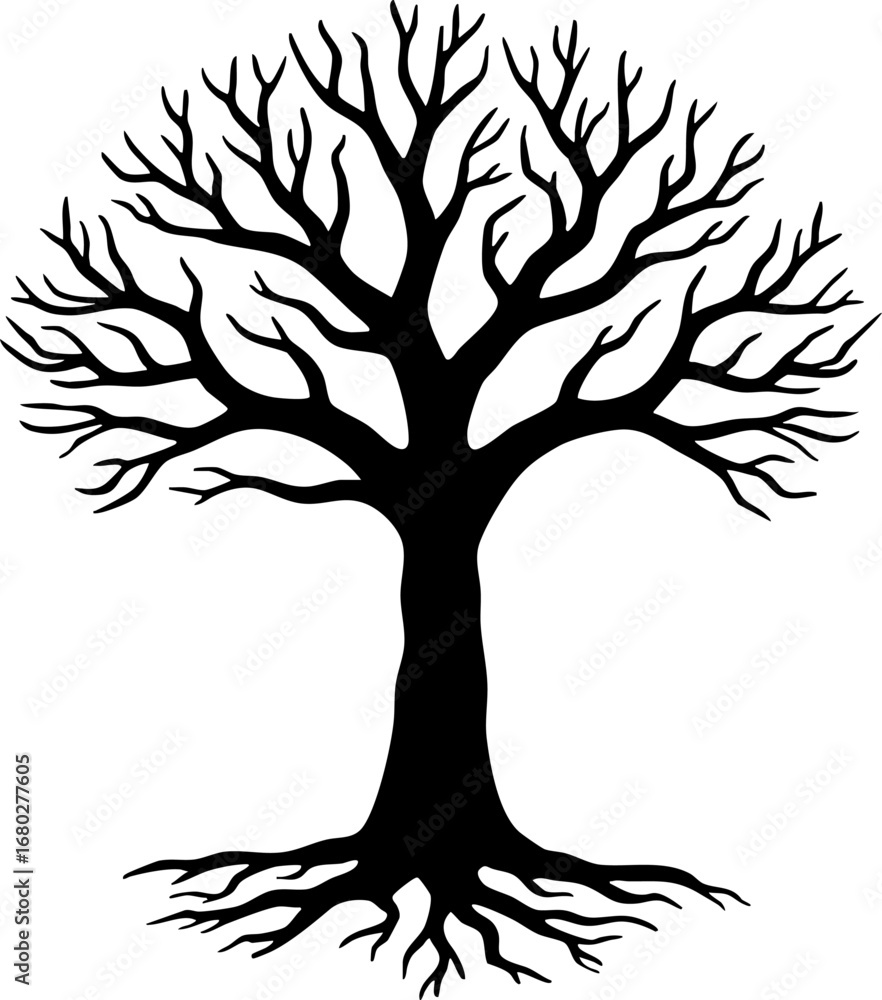 Fototapeta premium Bare Tree Silhouette with Roots