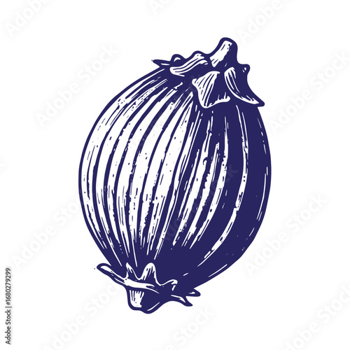 Hand drawn illustration of a fresh onion in a linocut style on a white background