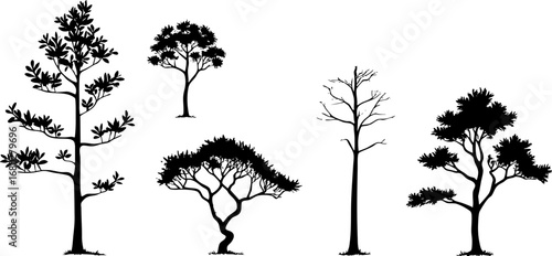 Diverse Tree Silhouette Collection 