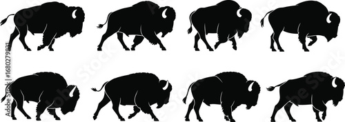 Bison walking cycle silhouette, wildlife animal gait sequence, black vector illustration, side view poses, isolated on white background, cad drawing flat vector illustration