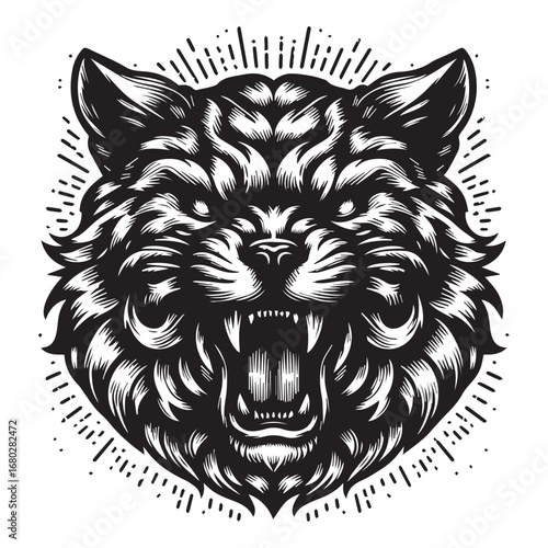 black cat on a white background