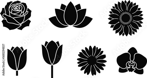 Diverse Flower Silhouettes: A Collection of Botanical Icons"