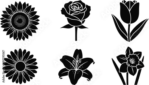 Classic Flower Silhouettes: A Collection of Botanical Icons"