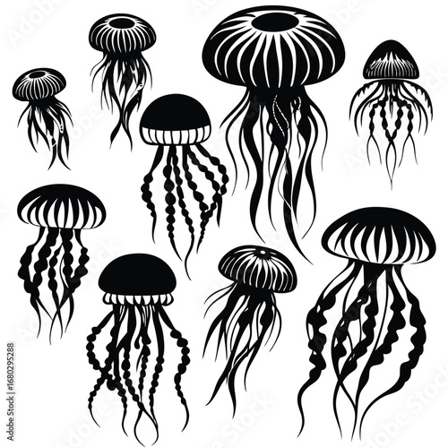 vector illustration of mushrooms