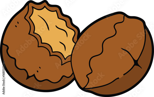 Brown walnut cracked open halves vector illustration scalable graphic food ingredient nut healthy snack