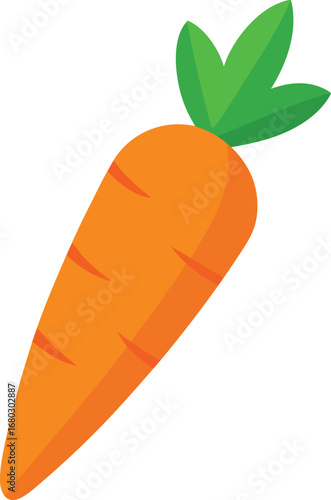 Fresh orange carrot with green tops vibrant vector illustration healthy root vegetable culinary ingredient