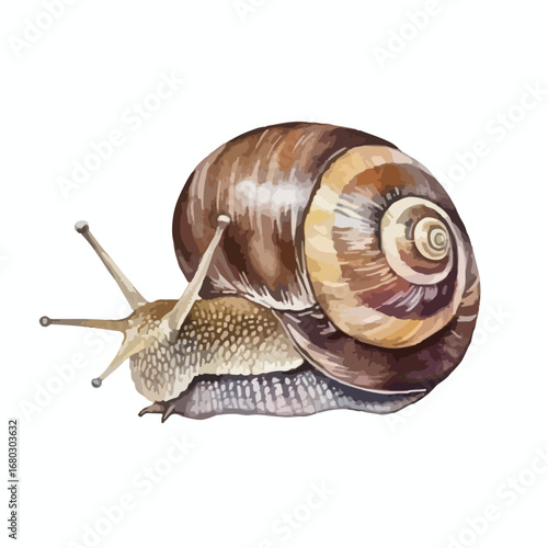 Detailed Watercolor Illustration of a Brown Snail with Antennae Extended