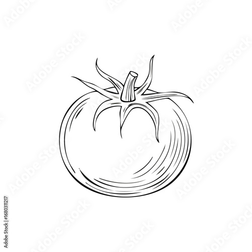 Detailed black and white sketch of a ripe tomato with its stem and leaves.