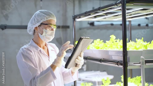 A female scientist in protective gear using digital tablet to examine lettuce plants in a high-tech indoor hydroponic farm.