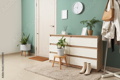 Modern home entryway interi...