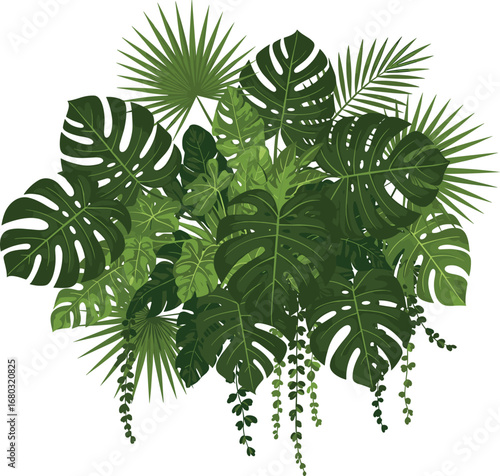 Tropical leaves arrangement, monstera, palm fronds, exotic plants, jungle foliage, green nature, botanical design, rainforest vegetation, lush greenery, decorative background