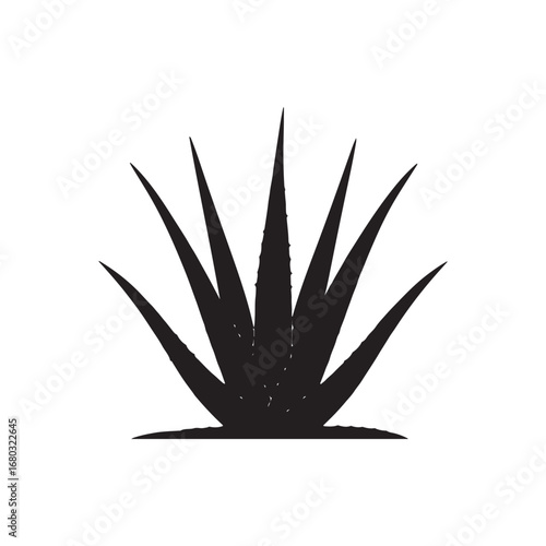 Aloe Vera Vector (1).eps