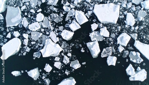 Frozen fragments of ice adrift on dark water