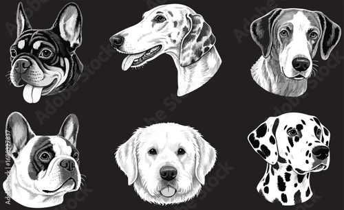 Six Dog Breed Portraits Black and White Illustrations