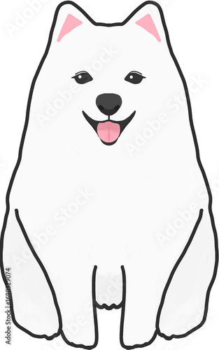 dog on white