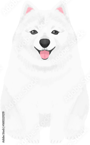 dog on white
