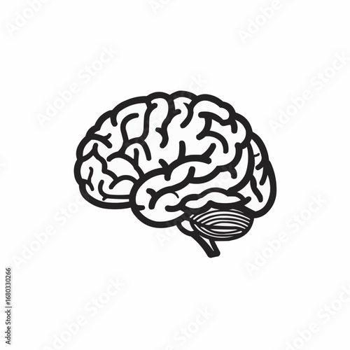 A black and white illustration of a human brain, showcasing detailed anatomy.