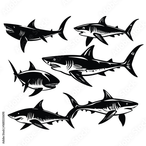 shark vector design illustration.