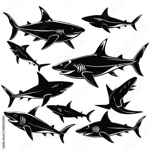shark vector design illustration.