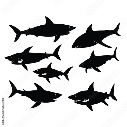 shark vector design illustration.
