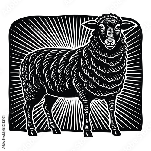 sheep on black background