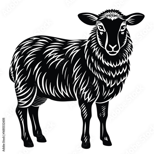 sheep on black background
