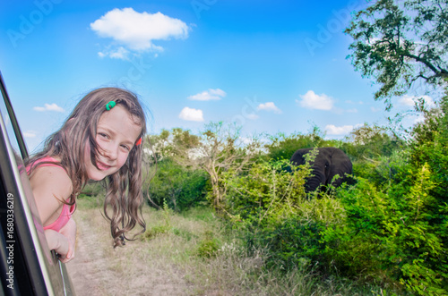 Family safari vacation in Africa, child in car watching elephant in african savannah, Kruger national park wildlife