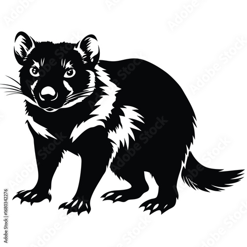 vector illustration of a bear